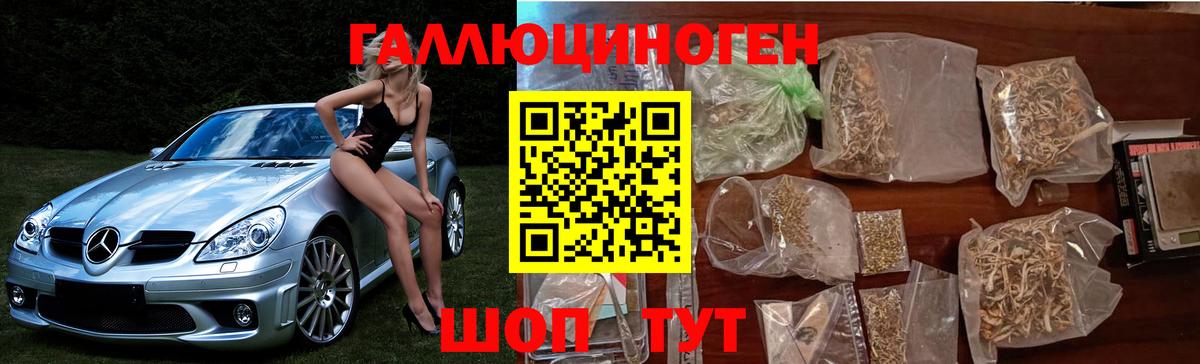 Галлюциногенные грибы MAGIC MUSHROOMS Сосновоборск