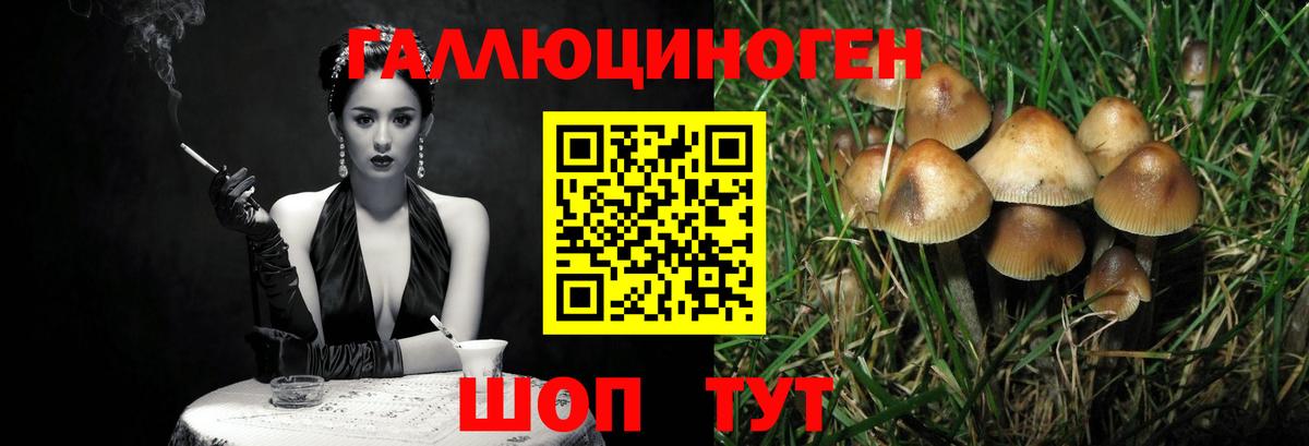 купить наркотики сайты  Вход с VPN  Сосновоборск  Псилоцибиновые грибы GOLDEN TEACHER  Галлюциногенные грибы прущие грибы 